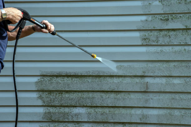 Best Exterior Home Cleaning  in Walworth, WI