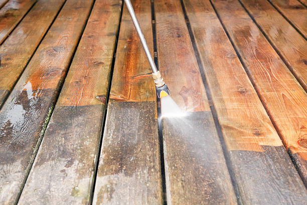 Best Fence Pressure Washing  in Walworth, WI