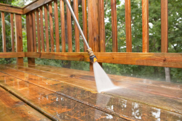 Best Pressure Washing Siding  in Walworth, WI